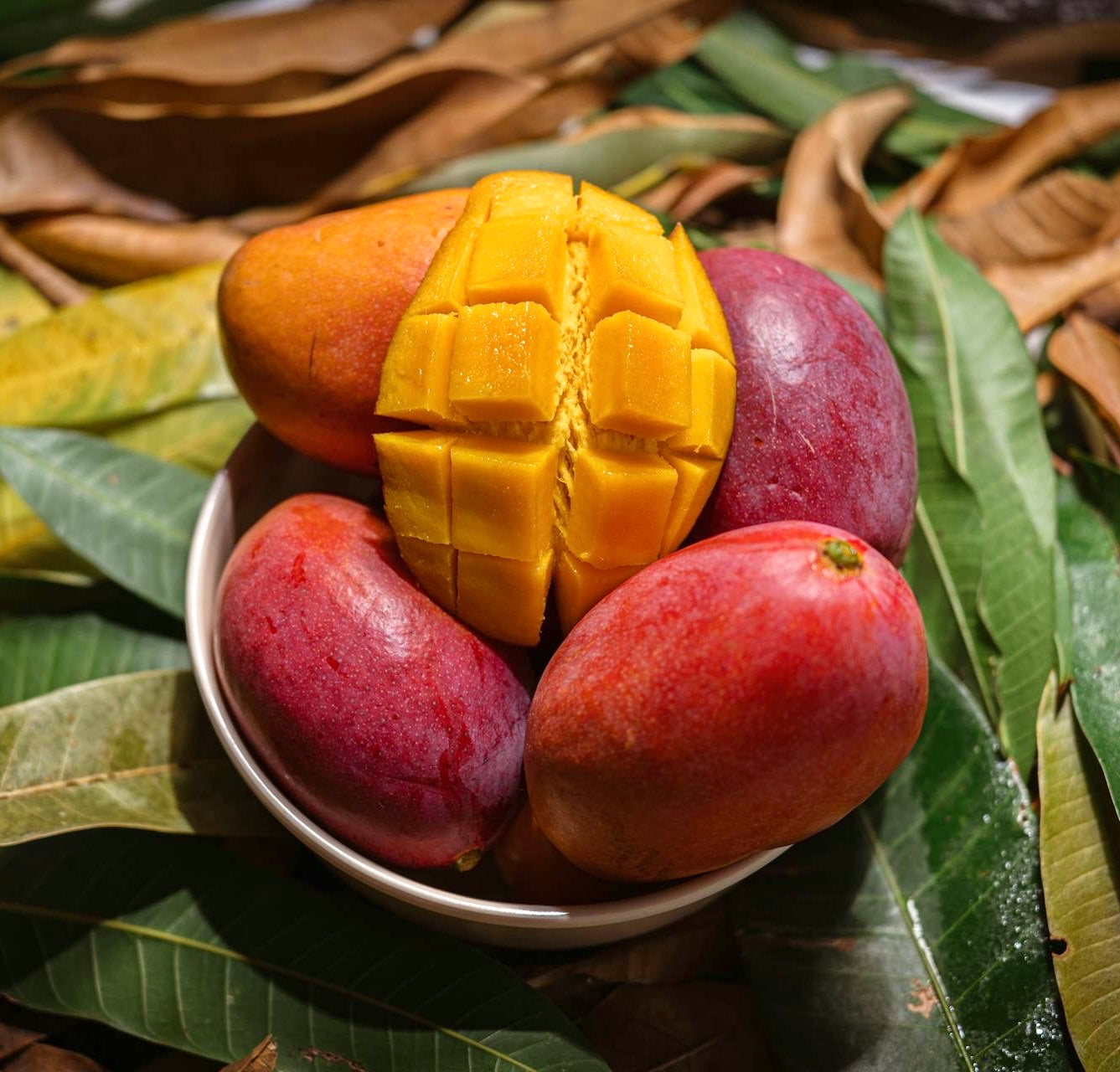 Family offer (5kg): Naomi Mango