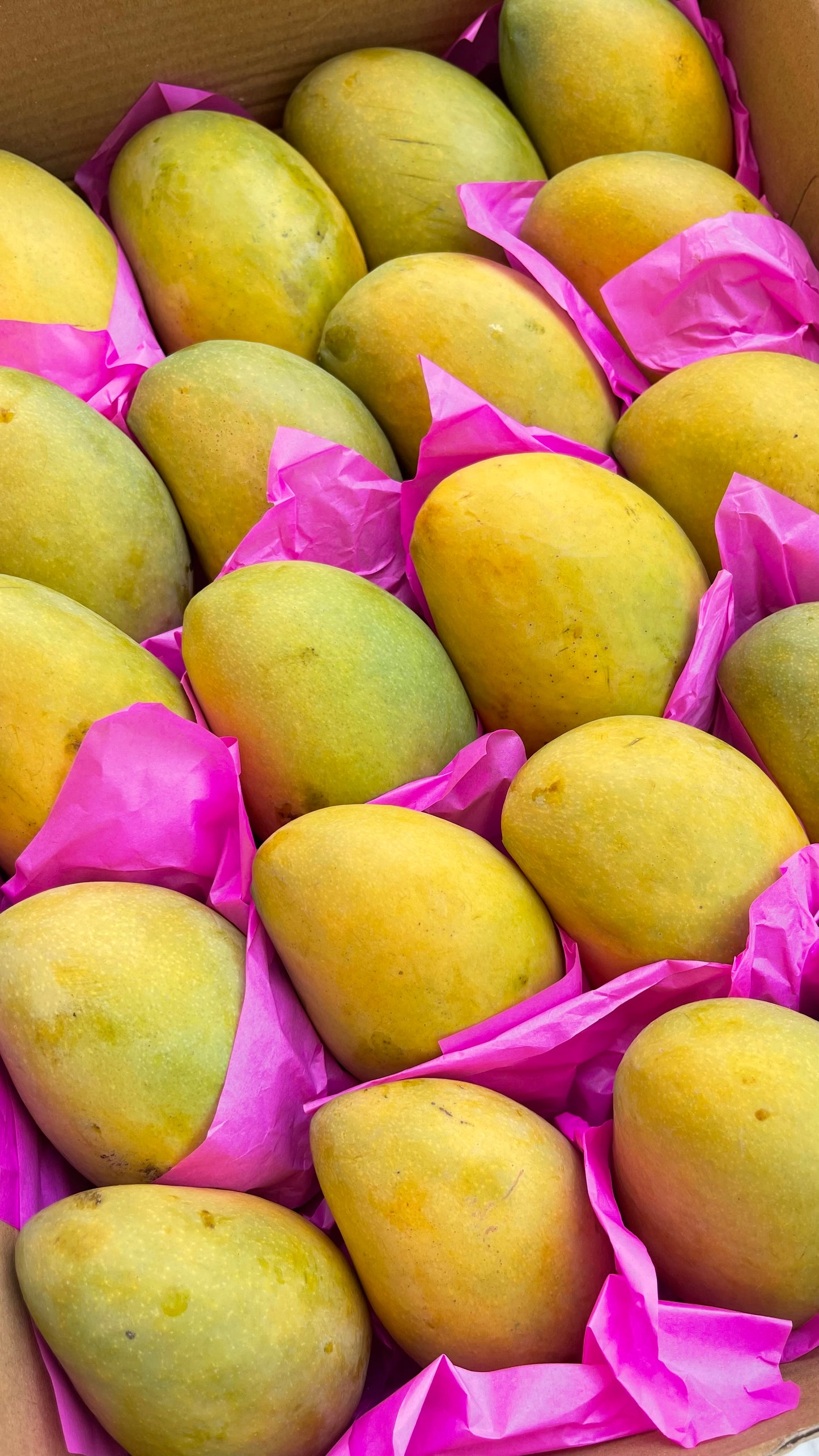 Family Offer (5kg): Premium Eweis Mangoes