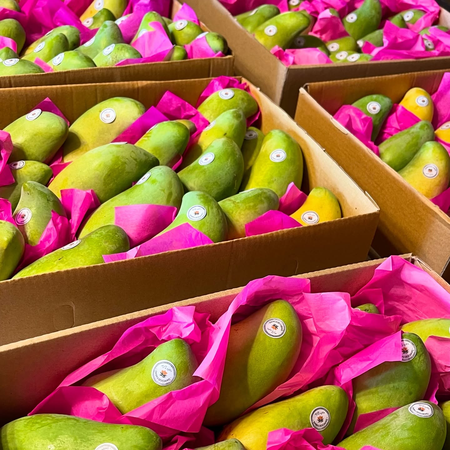 Juluk Mangoes (1 kg)